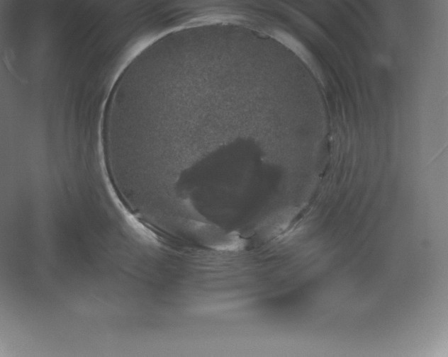 X0000061141055200511241758