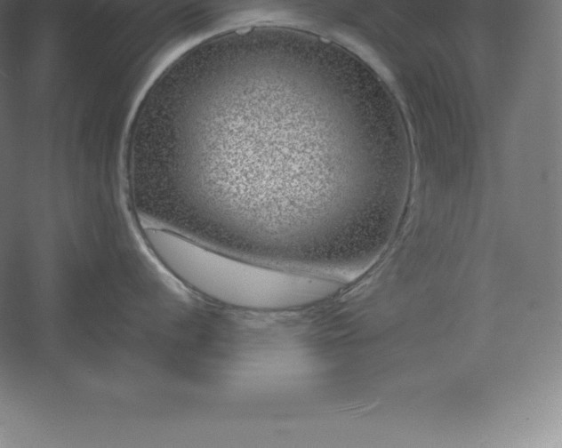 X0000061141056200511241758