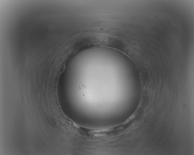 X0000061141057200511241758