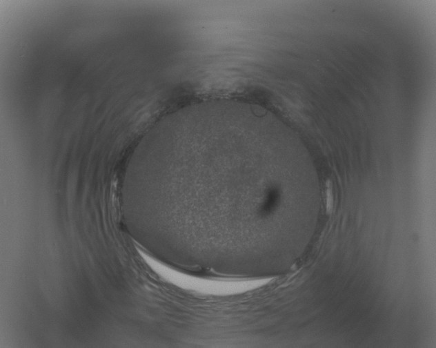 X0000061141059200511241758