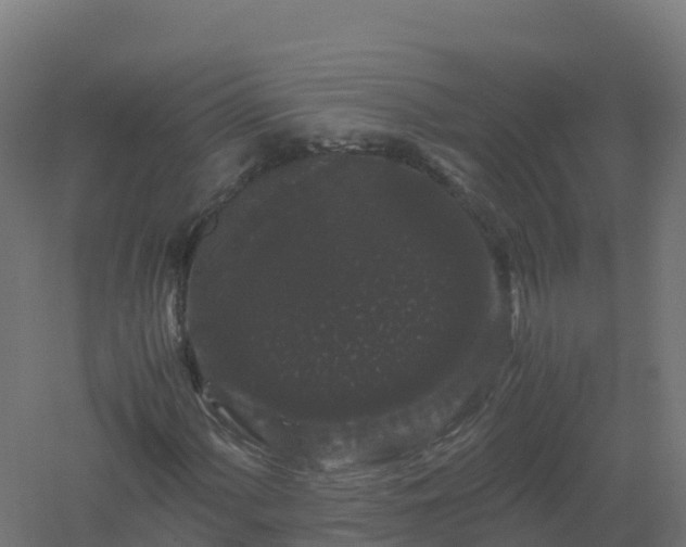 X0000061141060200511241758