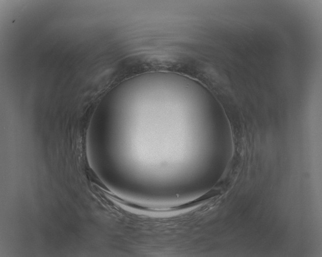 X0000061141061200511241758