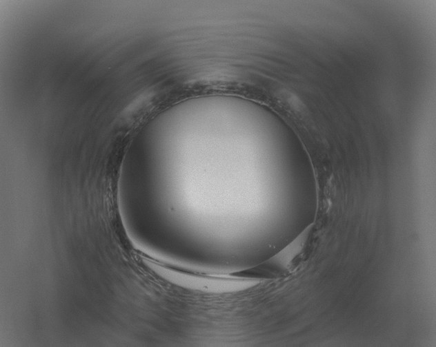 X0000061141062200511241758