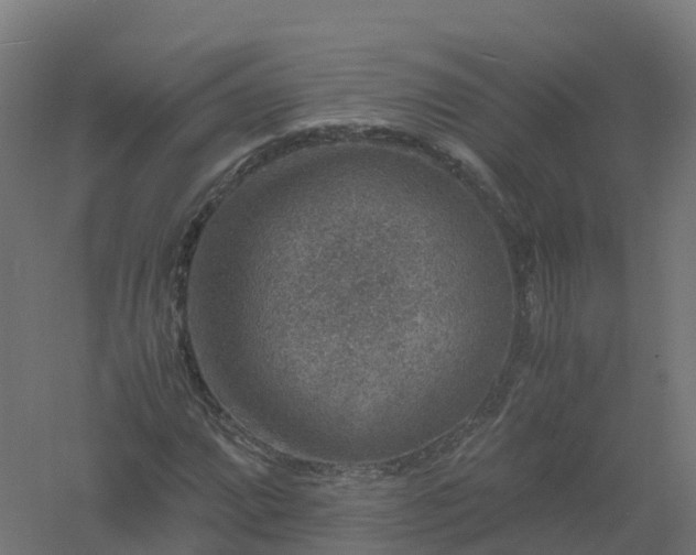 X0000061141064200511241757