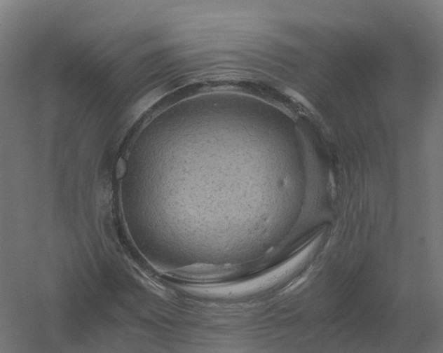 X0000061141065200511241757