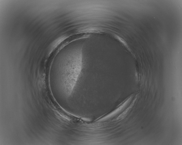 X0000061141066200511241757