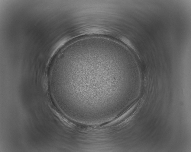 X0000061141067200511241757