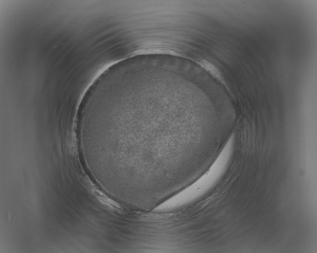 X0000061141068200511241757