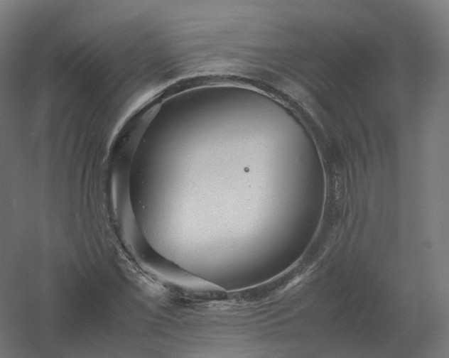 X0000061141069200511241757