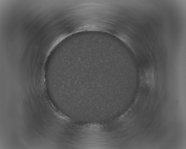 X0000061141070200511241757