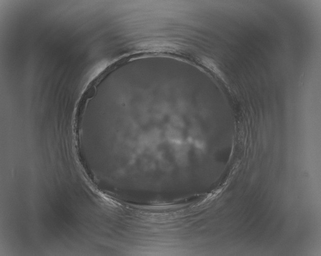 X0000061141071200511241757