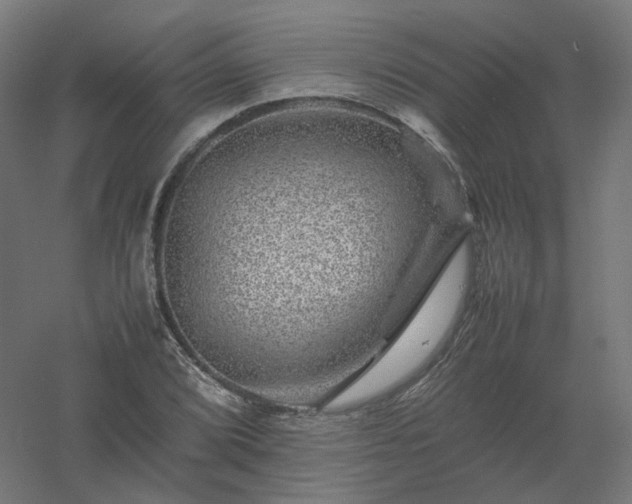 X0000061141072200511241757