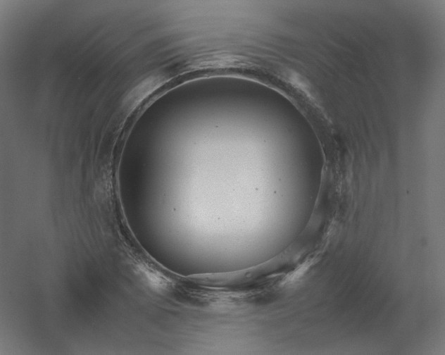 X0000061141073200511241757