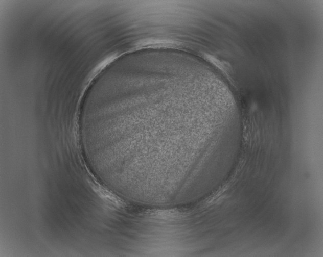 X0000061141074200511241757