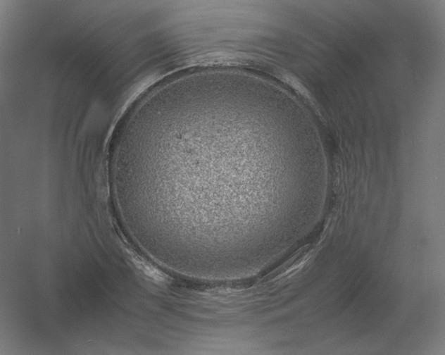 X0000061141075200511241757