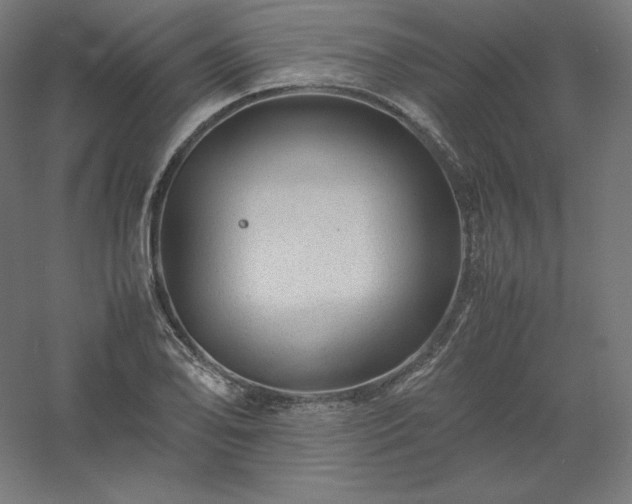 X0000061141078200511241757