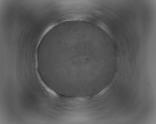 X0000061141079200511241757