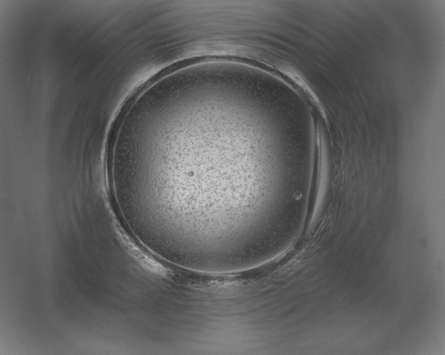 X0000061141080200511241757