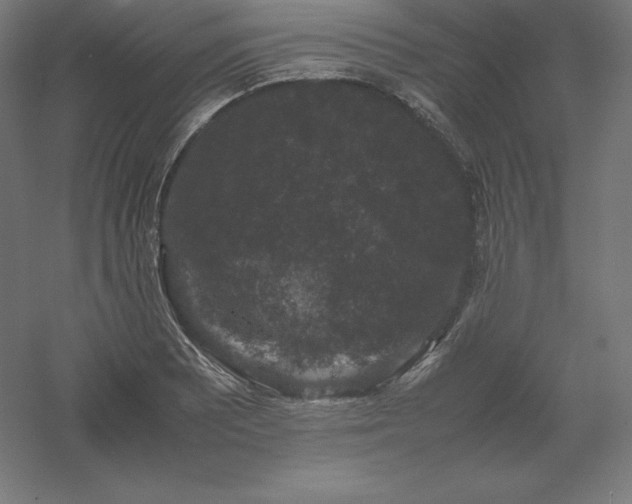 X0000061141081200511241757