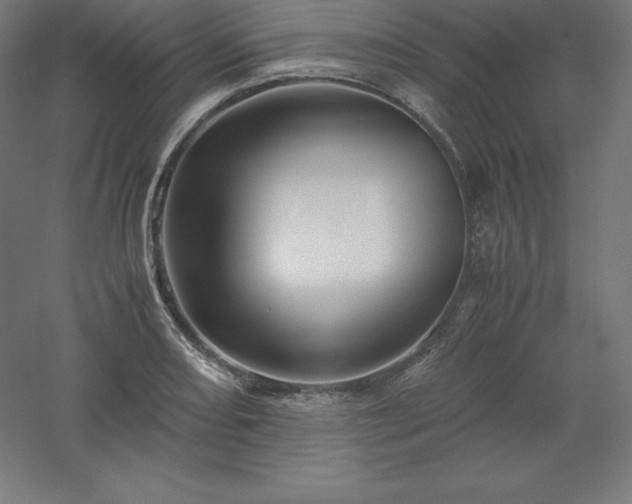 X0000061141082200511241757