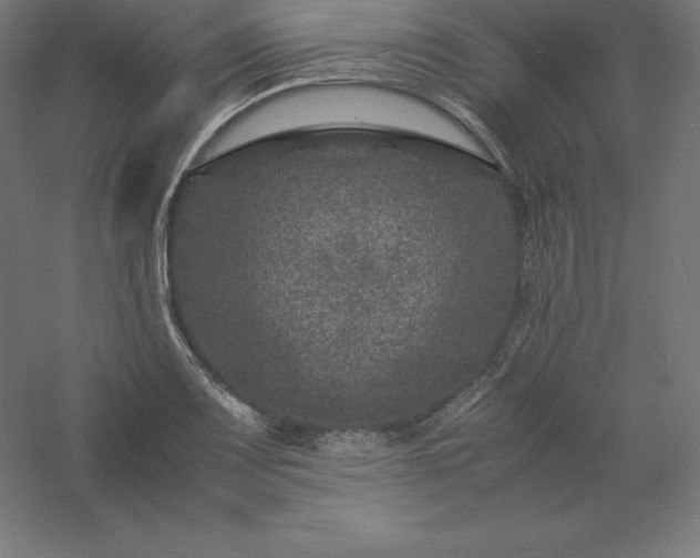 X0000061141083200511241757