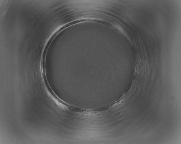 X0000061141084200511241757