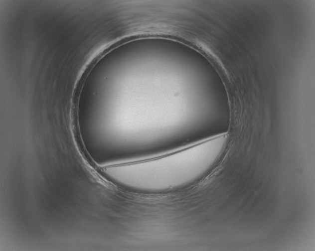 X0000061141085200511241757