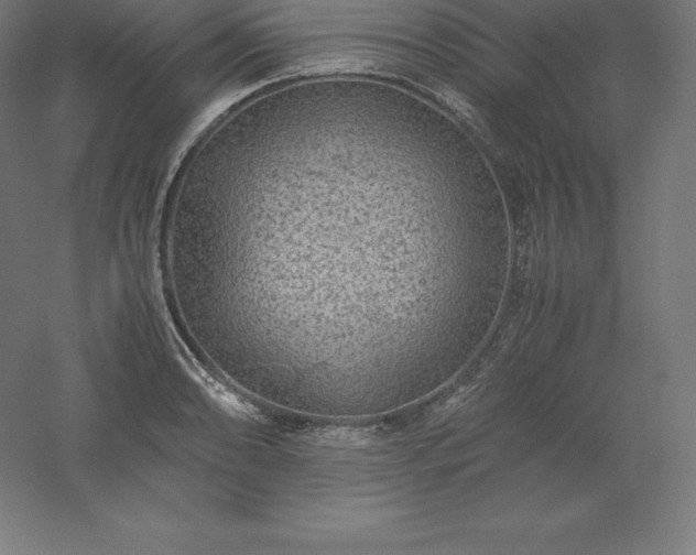 X0000061141086200511241757