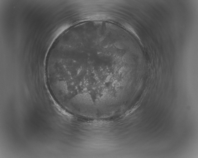 X0000061141087200511241757