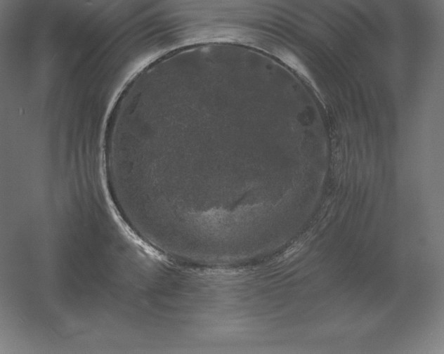 X0000061141088200511241757