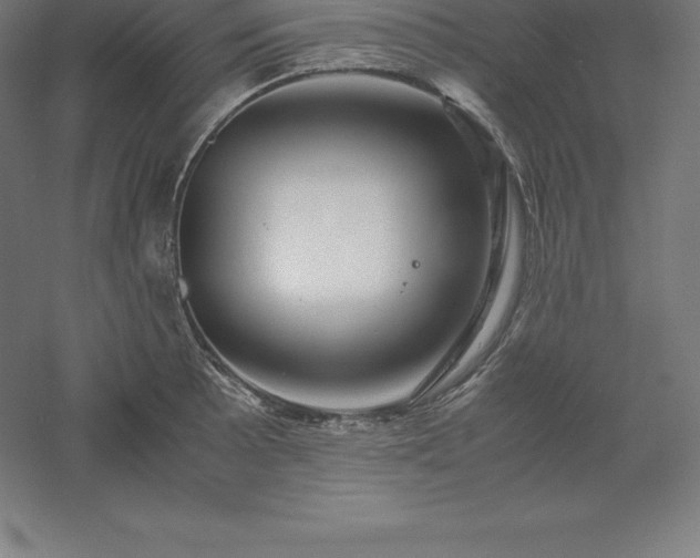 X0000061141089200511241757