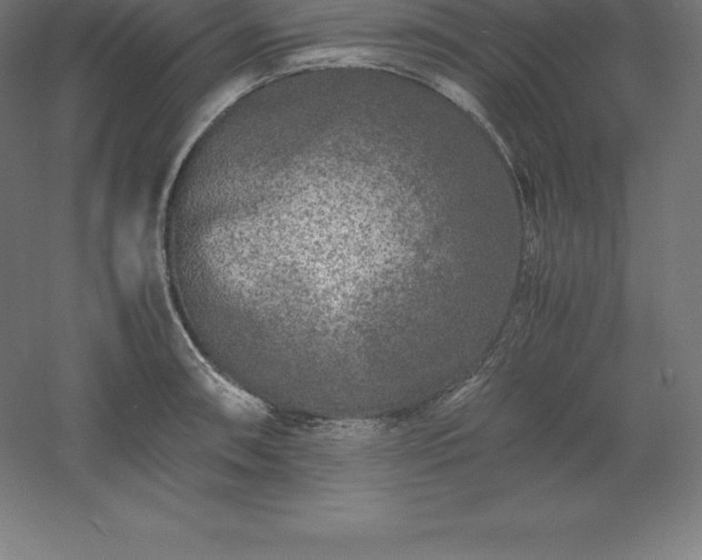 X0000061141090200511241757