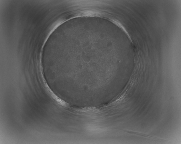 X0000061141091200511241757