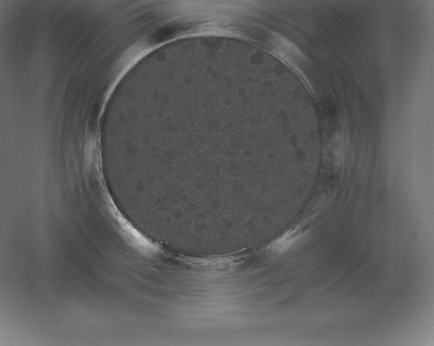 X0000061141092200511241757