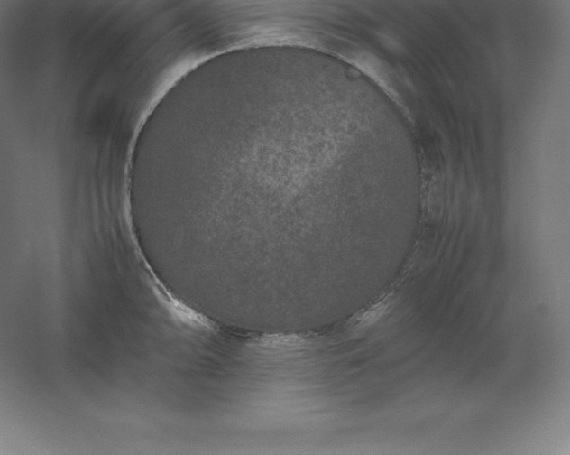 X0000061141094200511241757