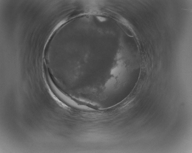 X0000061141095200511241757