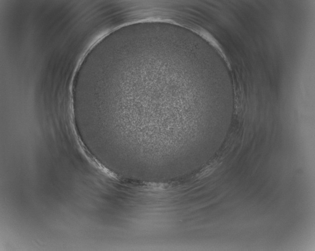 X0000061141096200511241757