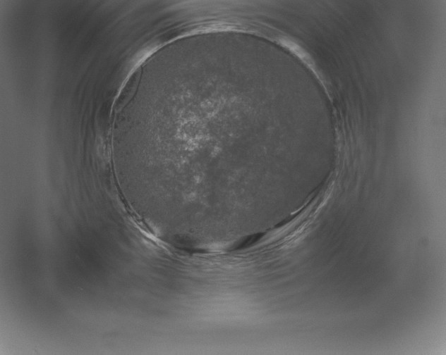 X0000061141097200511241757