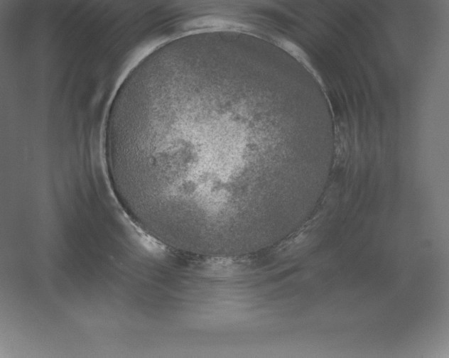 X0000061141098200511241757