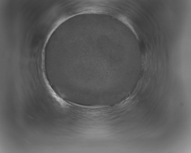 X0000061141099200511241757