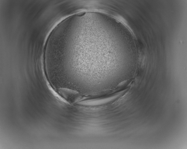 X0000061141100200511241757