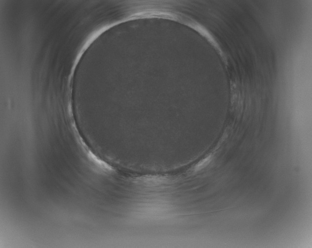 X0000061141102200511241757