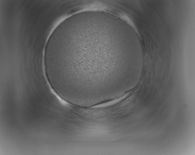 X0000061141103200511241757