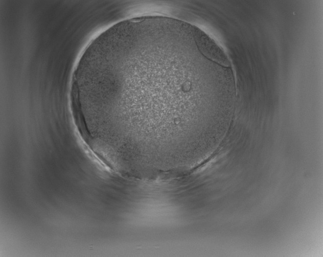 X0000061141104200511241757