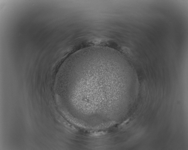 X0000061141105200511241756