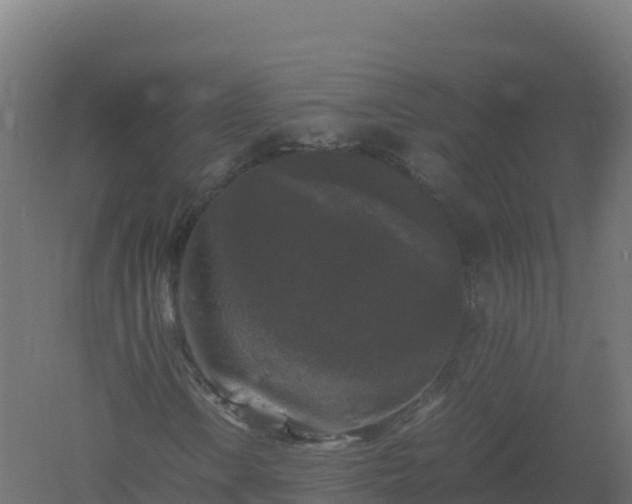 X0000061141106200511241756