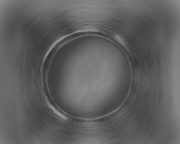 X0000061141116200511241756