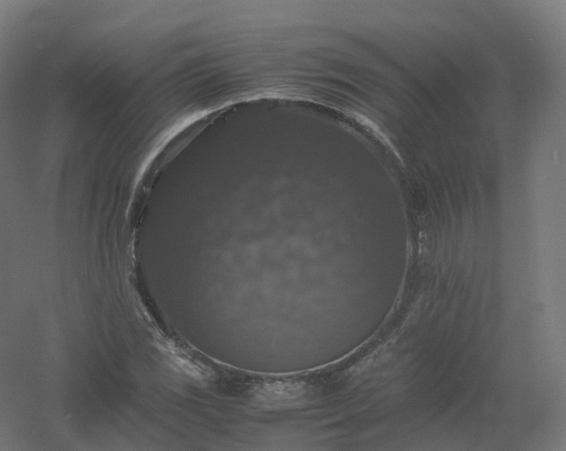 X0000061141117200511241756