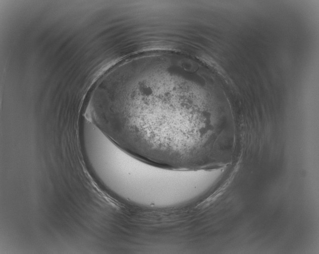 X0000061141121200511241756