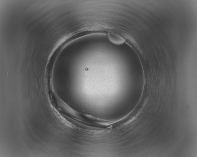 X0000061141122200511241756